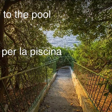 Il Carrubo Sul Mare * Massa Lubrense